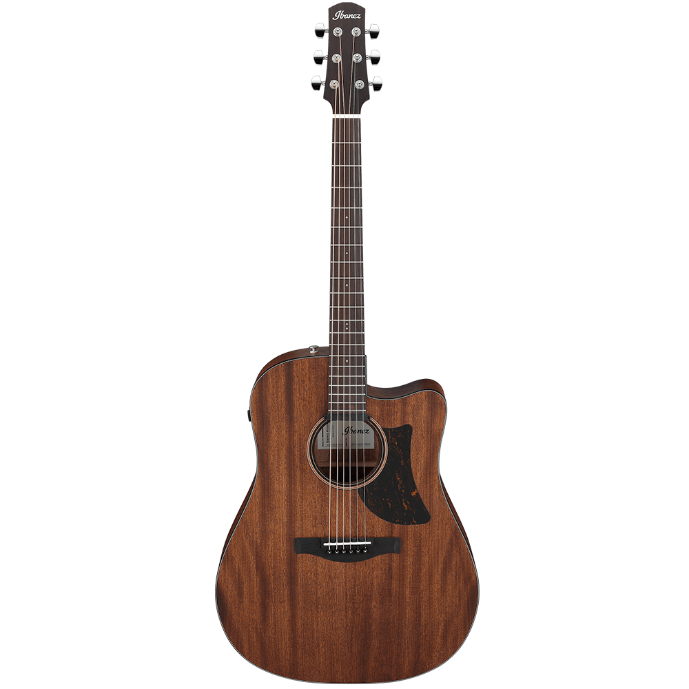 Ibanez AAD Series AAD190CE OPN Semi Acoustic Guitar