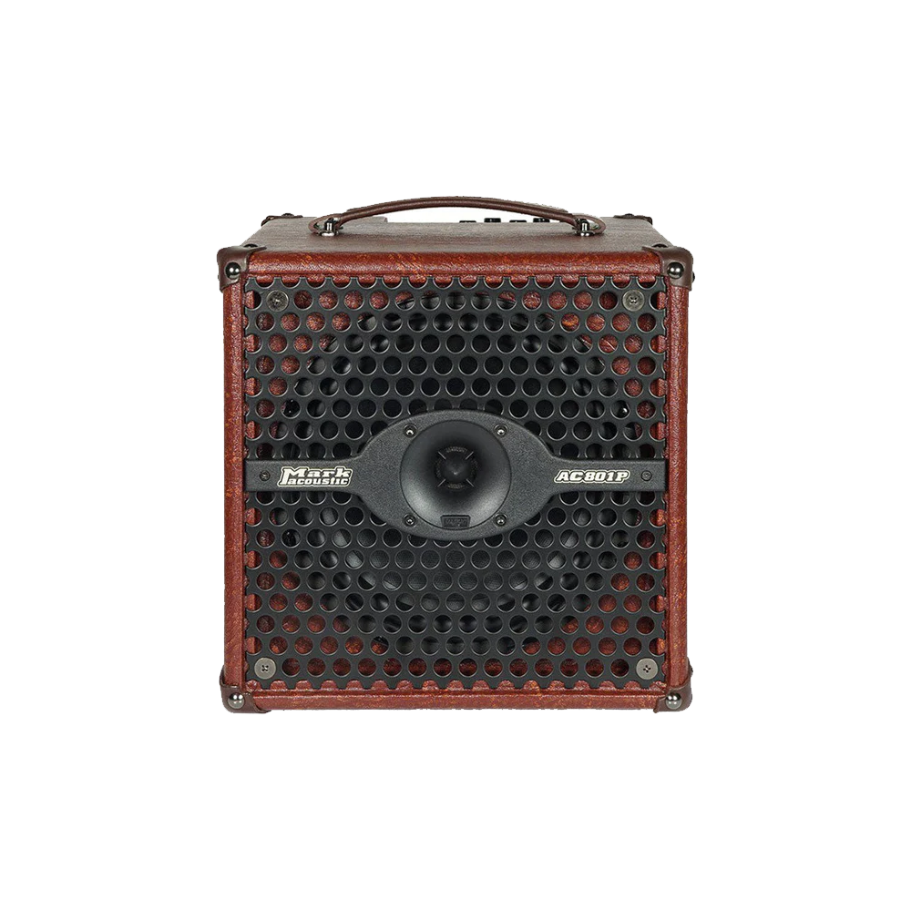 DV Mark AC 801P ACC125012Z Combo Amp