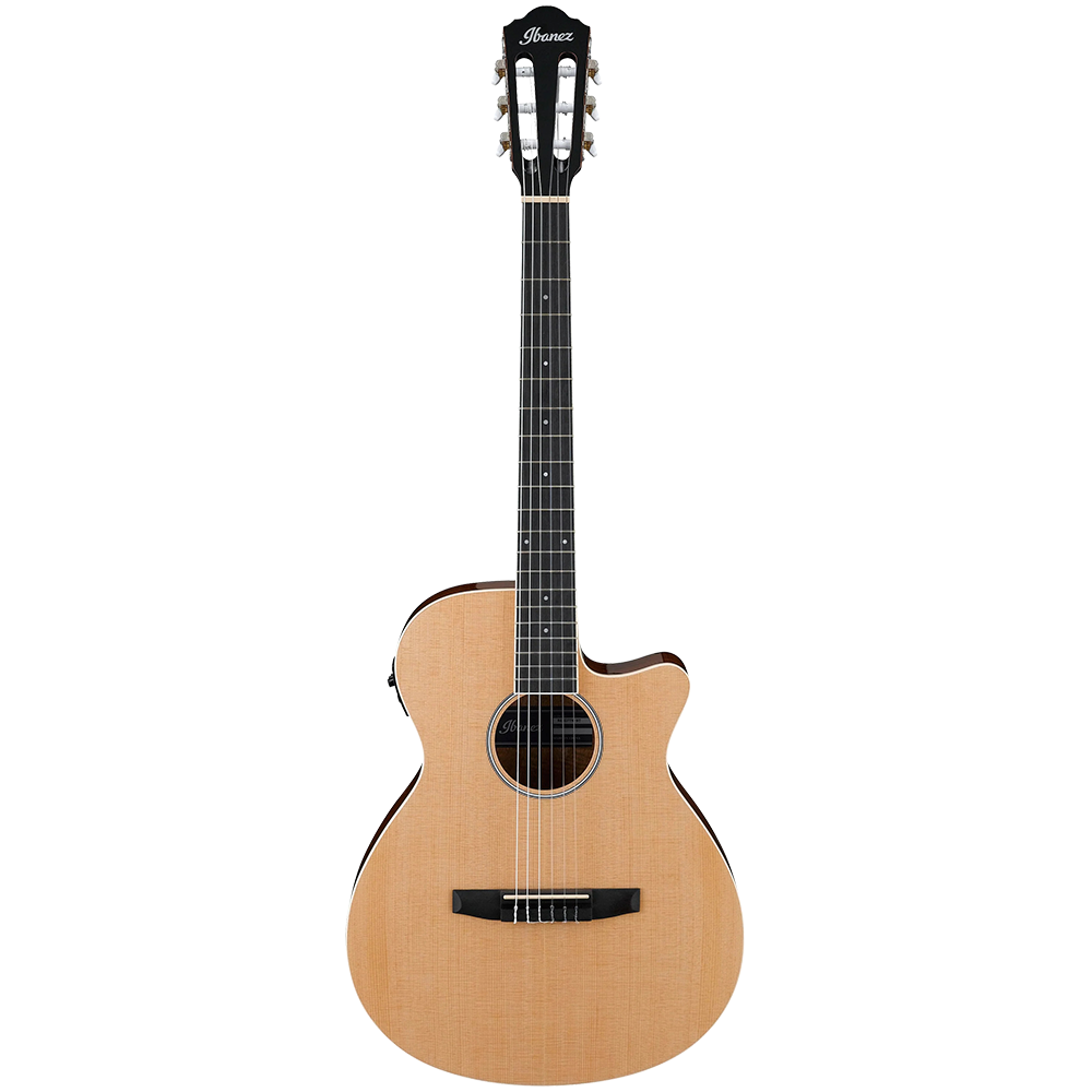 Ibanez AEG7TN NT Acoustic Guitar