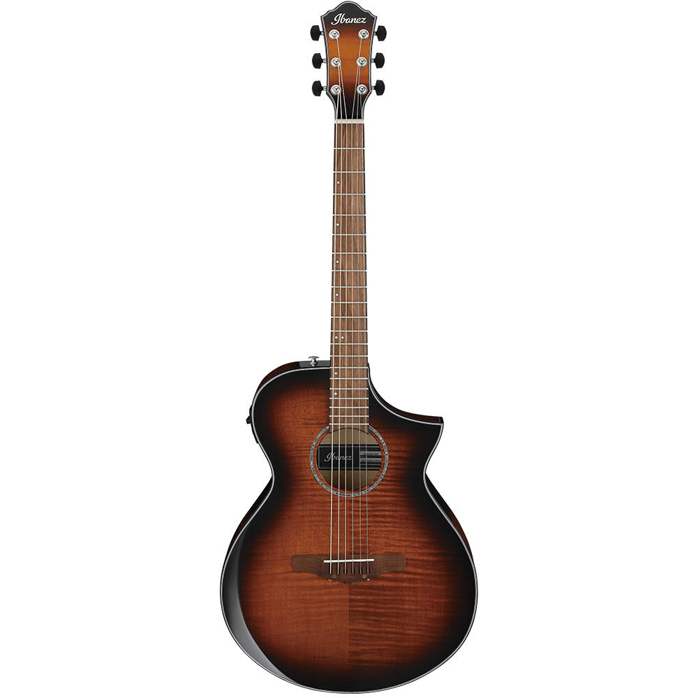 Ibanez AEWC400 Semi Acoustic Guitar