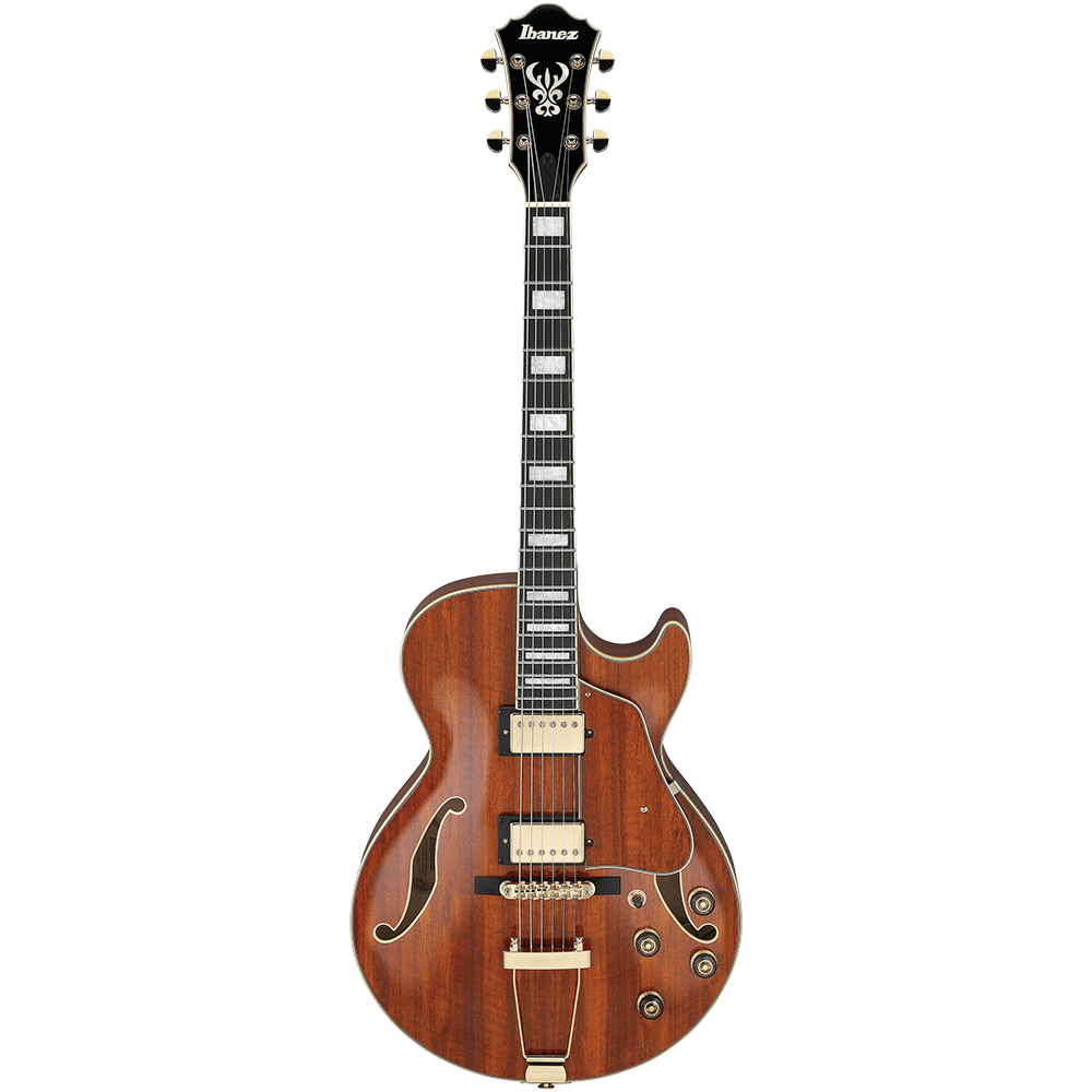 Ibanez AG95K-NT Hollow Body Guitar AG Artcore Expressionist