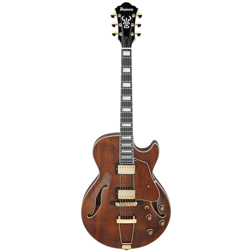 Ibanez AG Artcore Expressionist AG95MG-DA Hollow Body Guitar