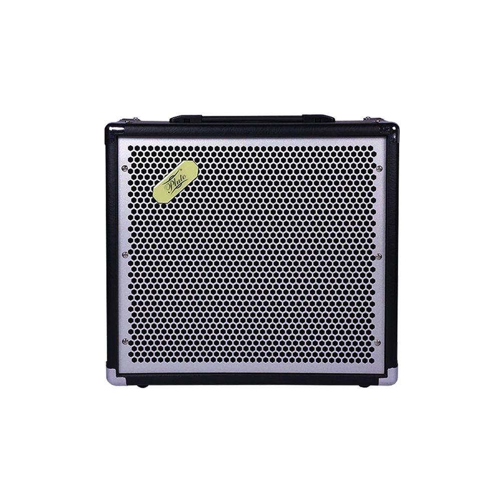 Pluto Guitar Amp 60 Watts 12" Speaker E-60DFX