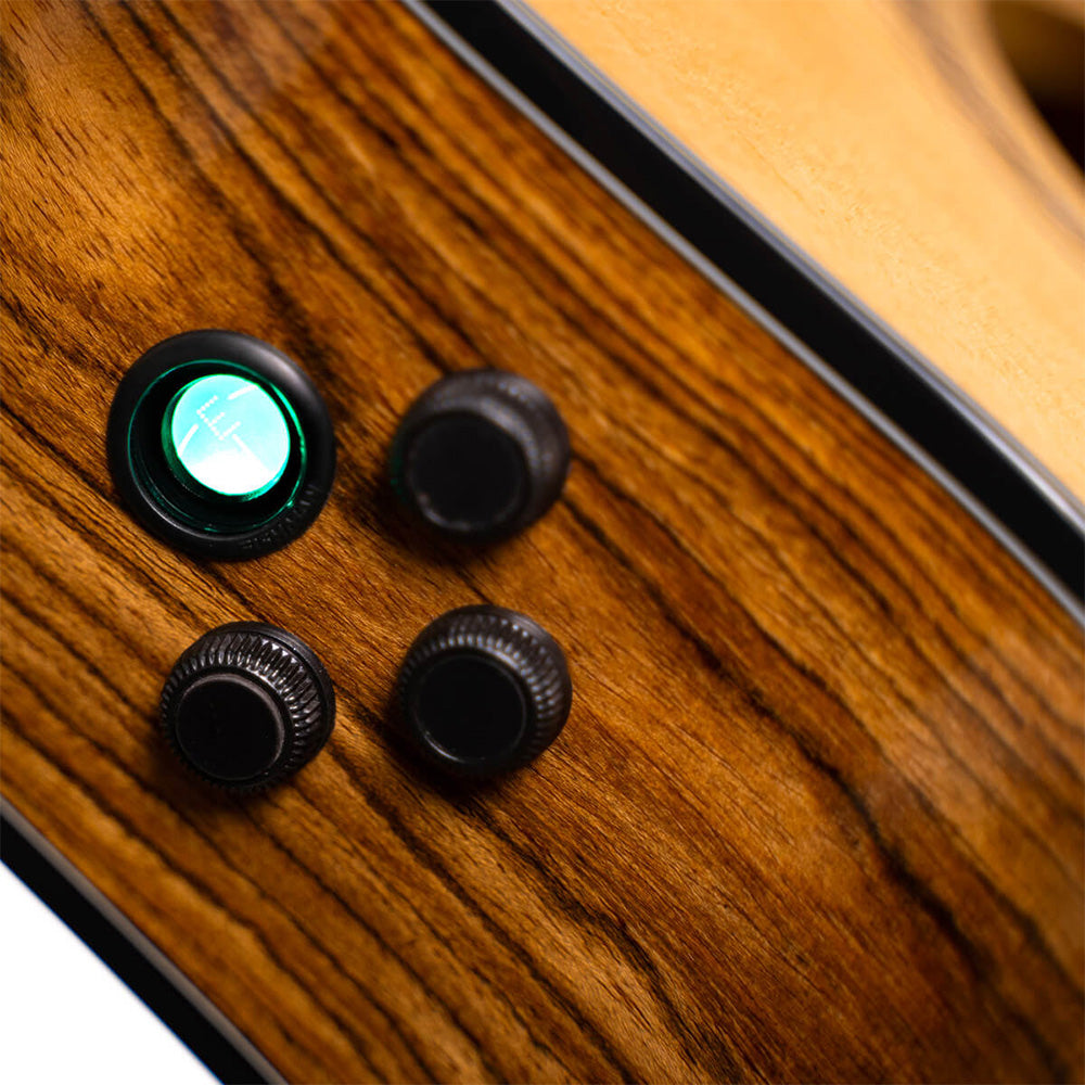 Cort GOLD-A6 Bocote Semi Acoustic Guitar W/Cutaway Electronics