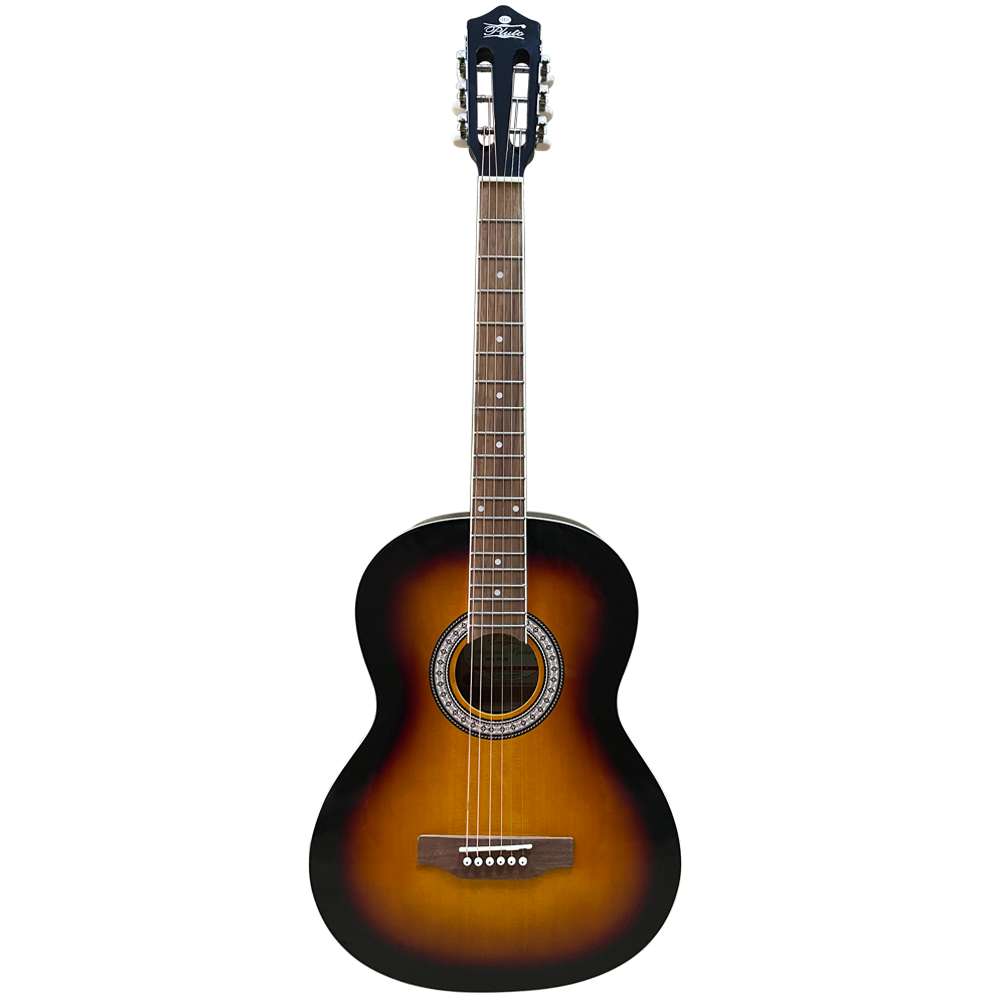 Pluto Semi Acoustic Guitar 201 series Medium W/ Pick-up HW39-201P