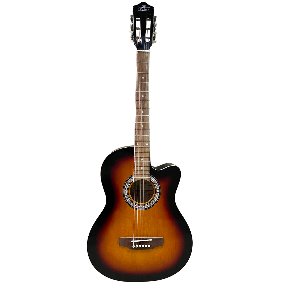 Pluto Acoustic Guitar 201 series Medium W/ Cutaway HW39C-201