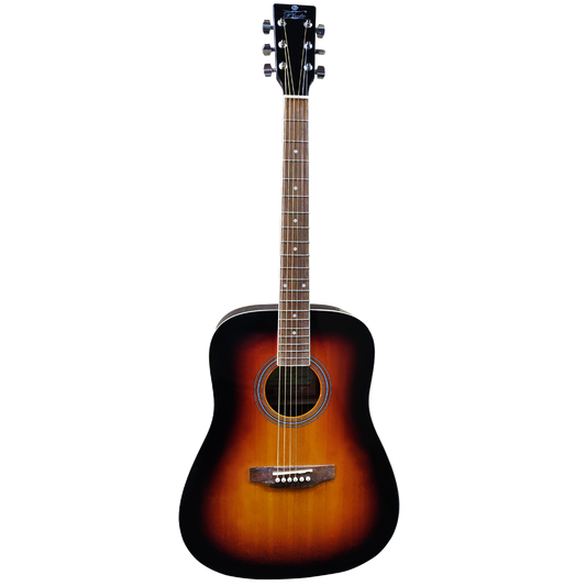 Pluto Semi Acoustic Guitar 201 series Dreadnought W/ Pickup HW41-201P