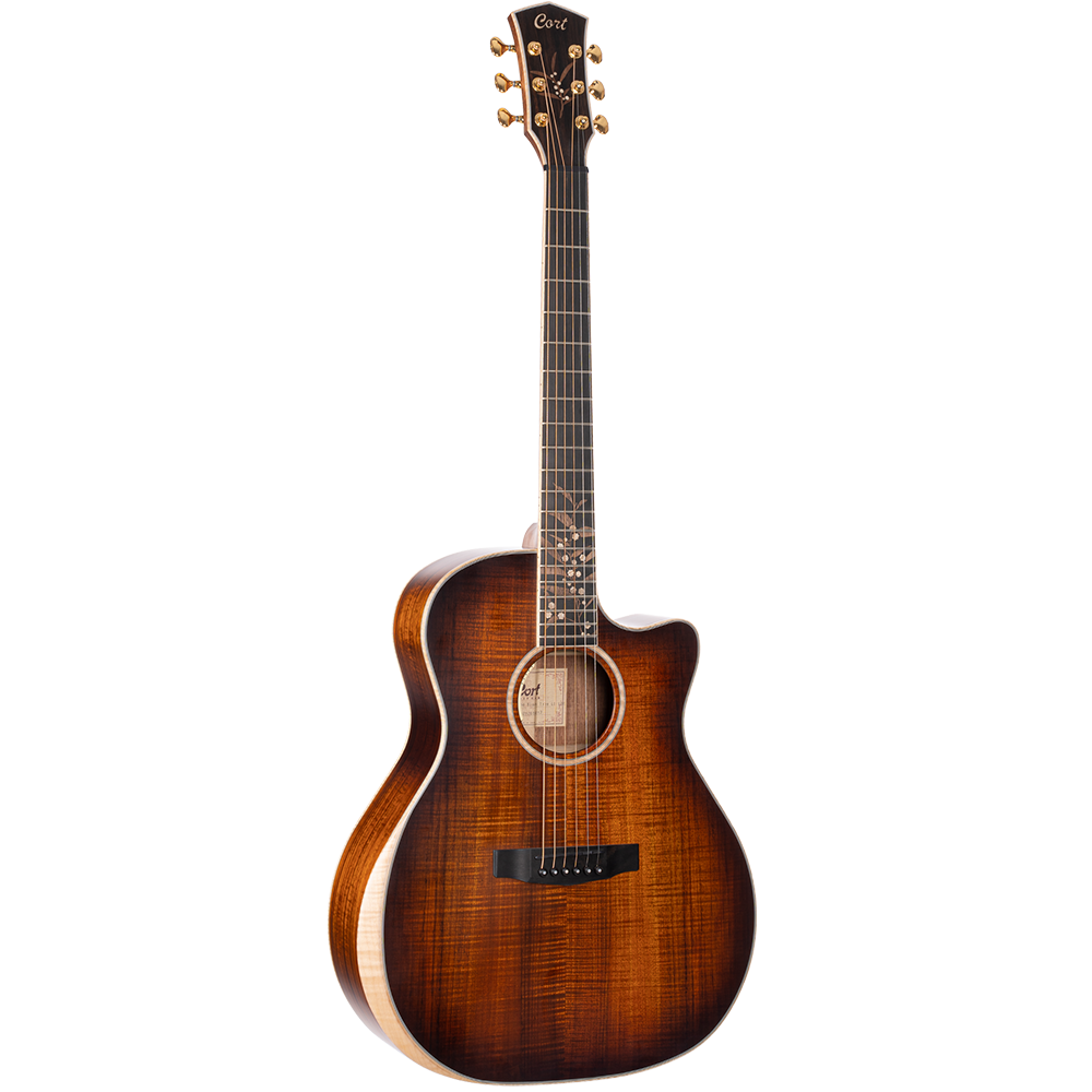Cort The Black Tree Light Burst Satin Semi Acoustic Guitar