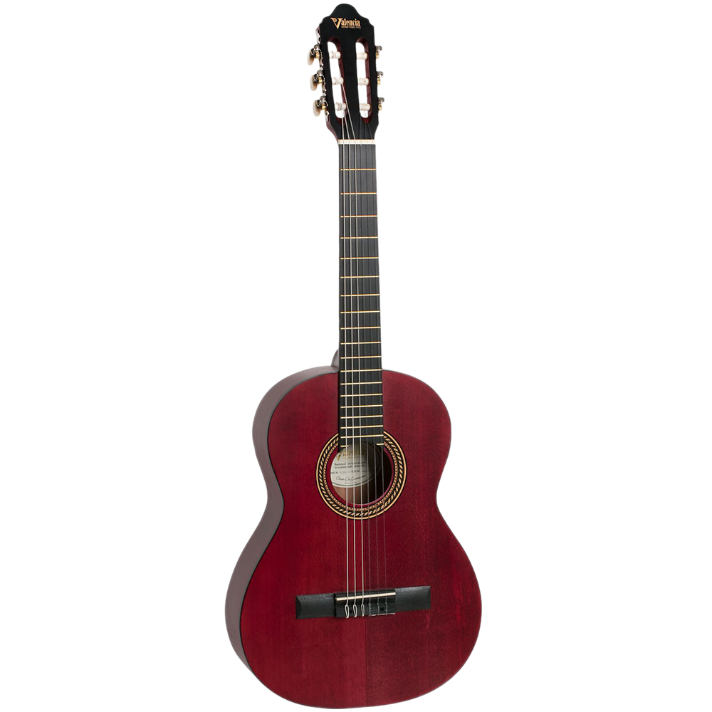 Valencia VC202 Natural Classical Guitar