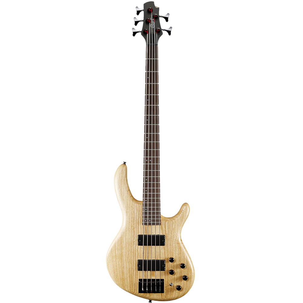 Cort Action DLX V AS Action Series 5 String Bass Guitar