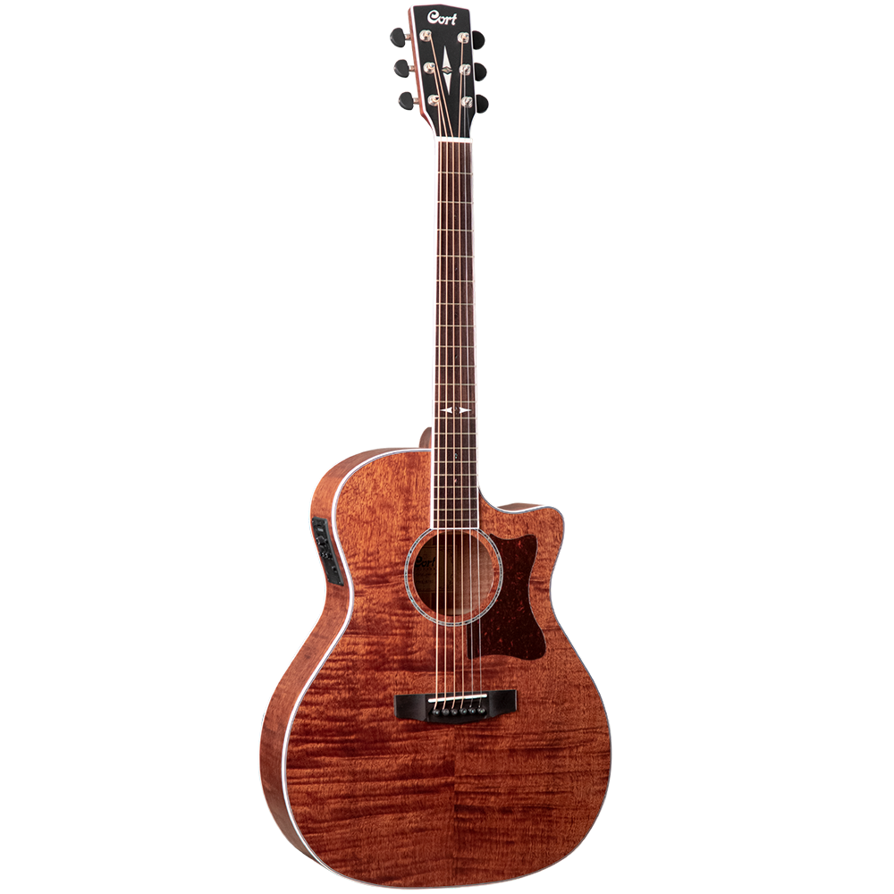 Cort GA5F FMH OP Semi Acoustic Guitar Music Distribution Company