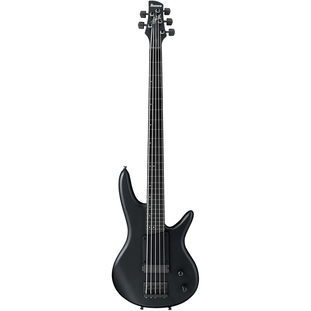 Ibanez Bass Guitar Signature Series GWB35 Black Flat Music