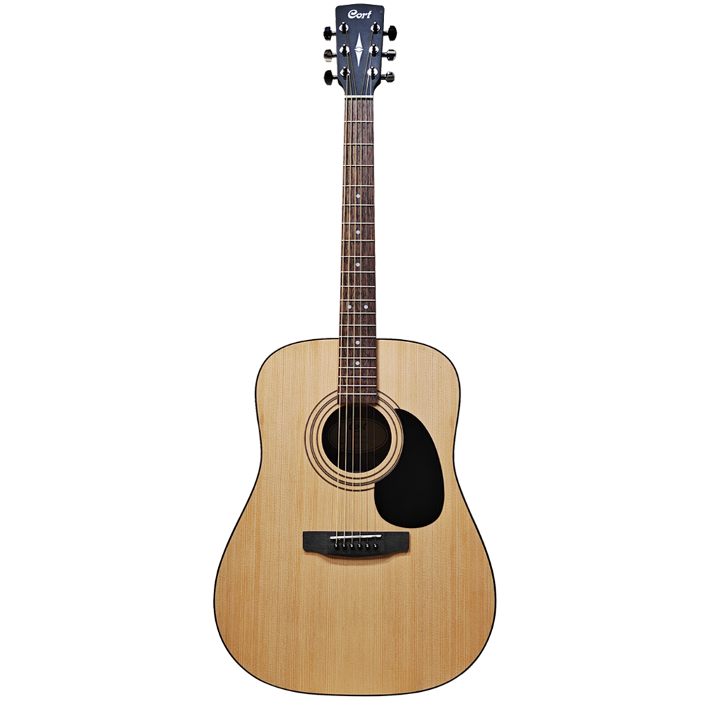 Cort AD300E Semi Acoustic Guitar W/Electronics