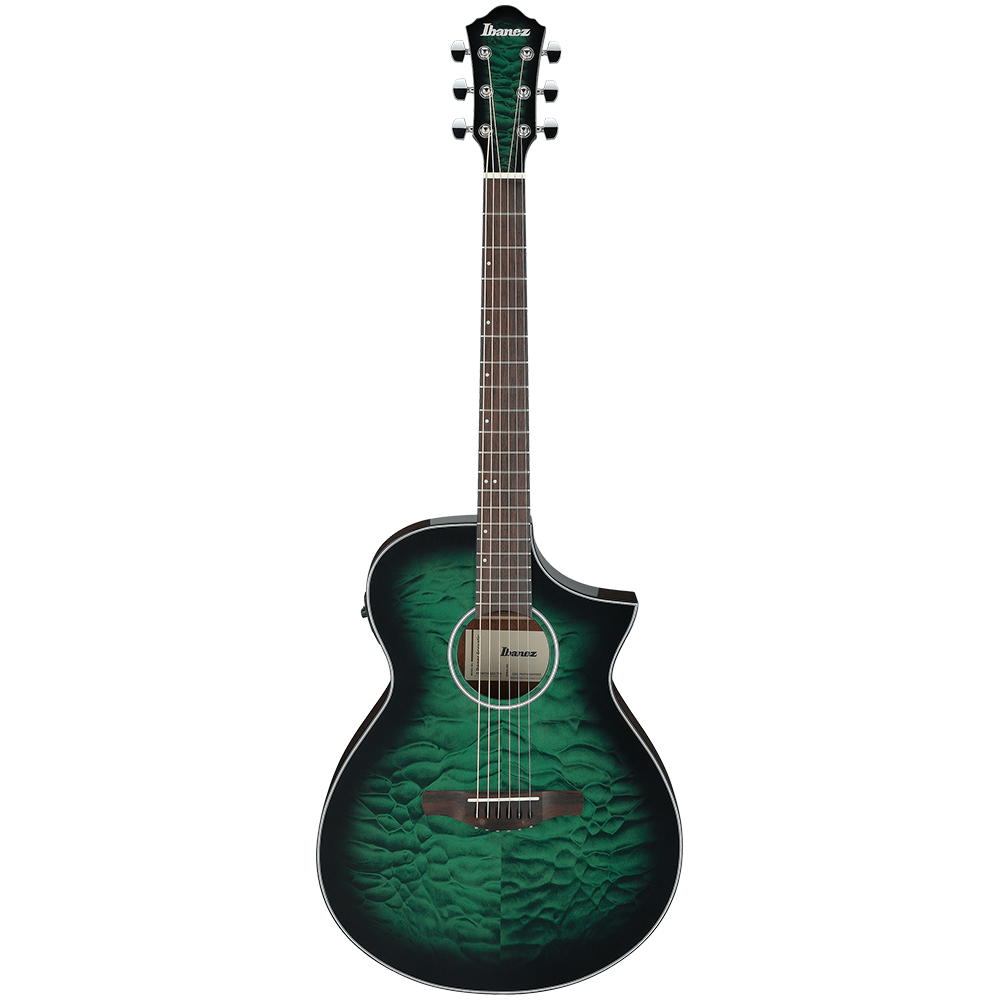 Ibanez AEWC Series AEWC16QA Semi Acoustic Guitar