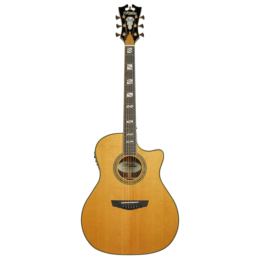 D'Angelico Excel Gramercy Vintage Natural DAEG200VNATGP