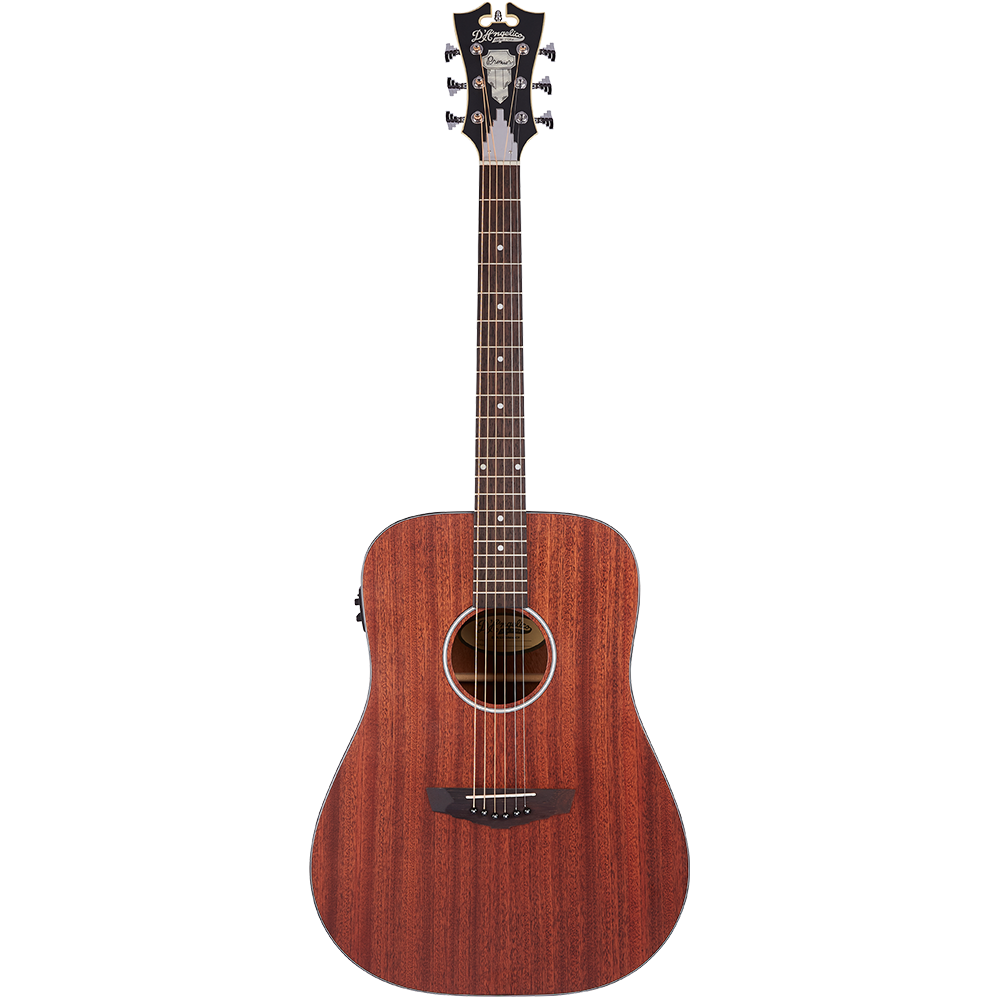D'Angelico  Premier Series Lexington LS