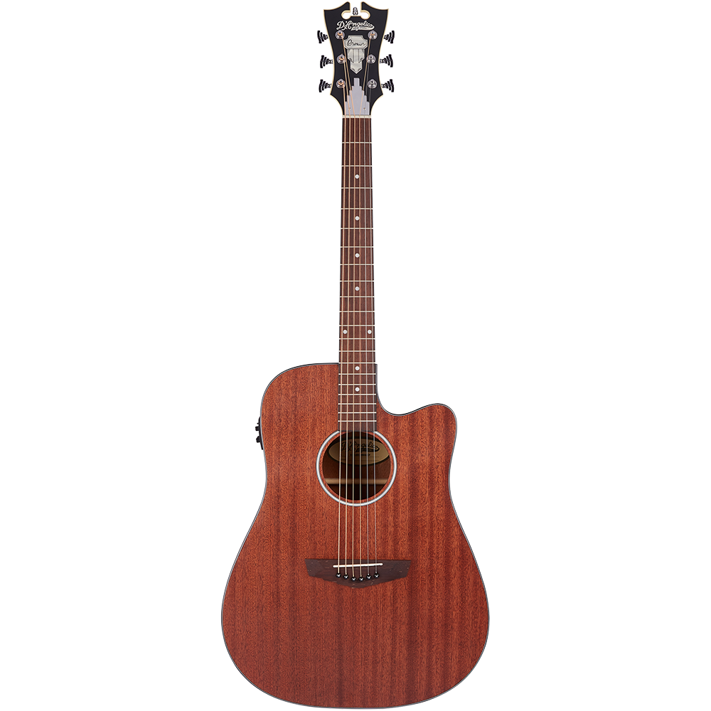 D'Angelico Premier Series Bowery LS