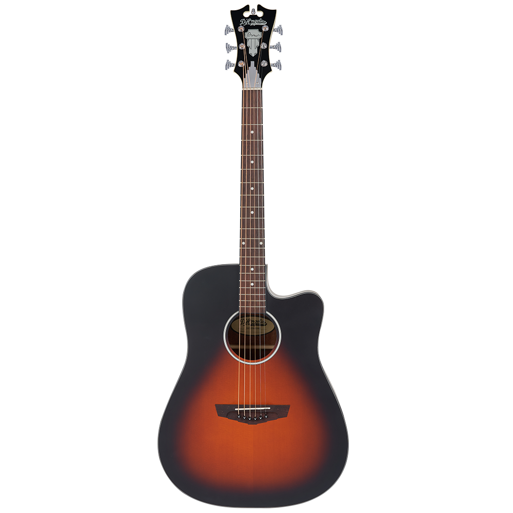 D'Angelico Premier Series Bowery LS