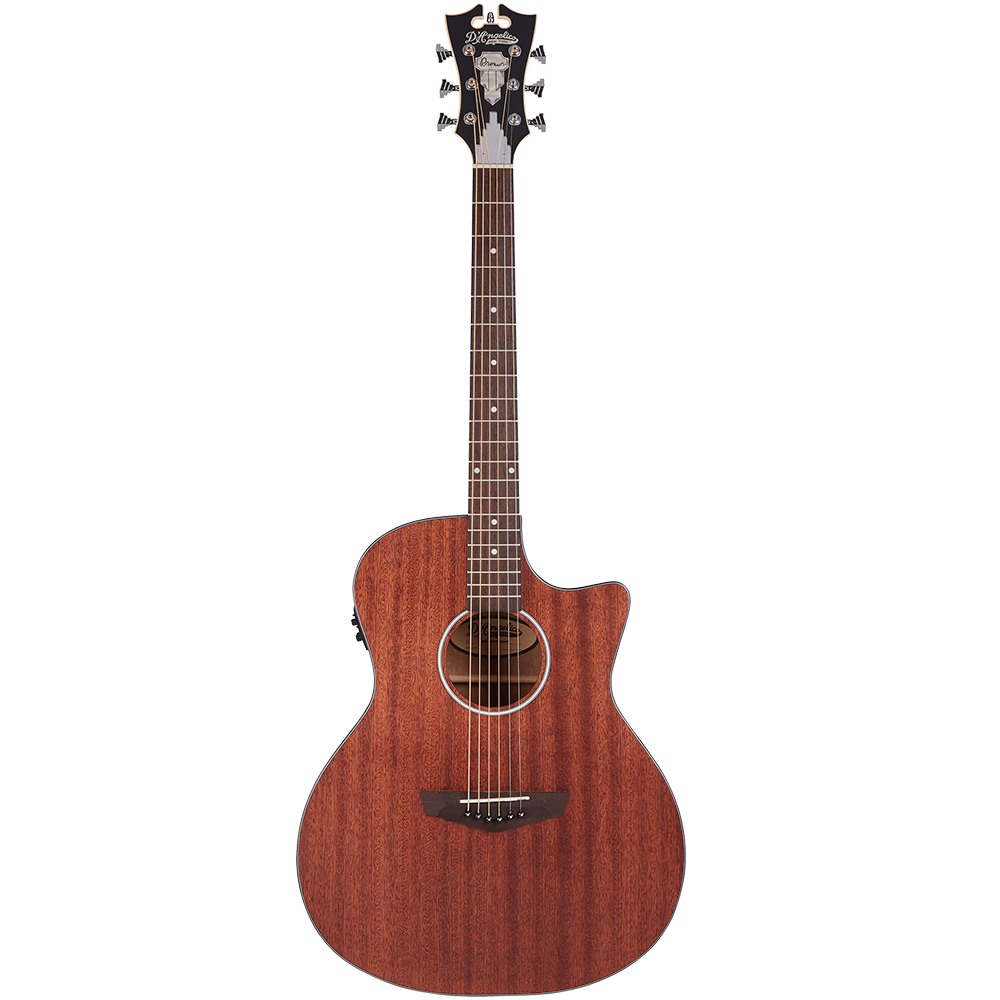 D'Angelico Premier Series Gramercy LS