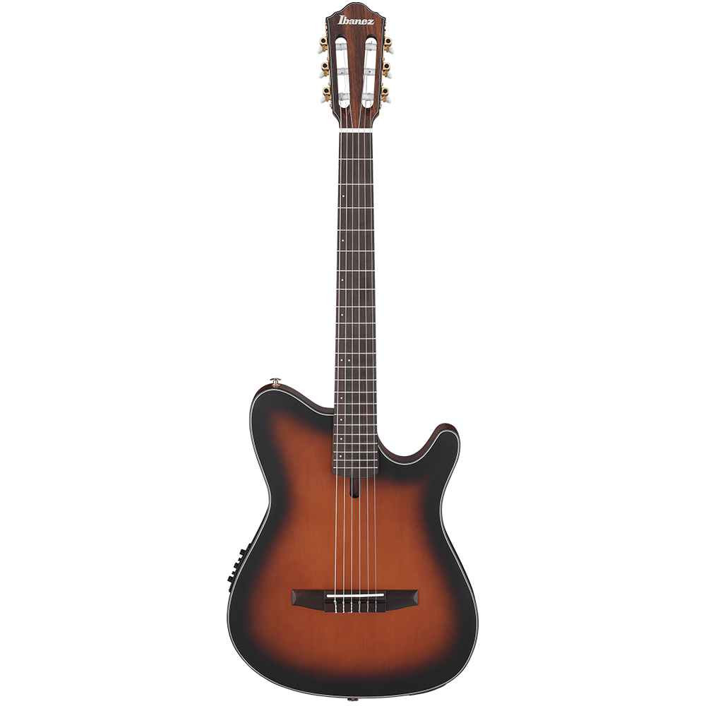 Ibanez FRH10N Classical Guitar W/Electronics