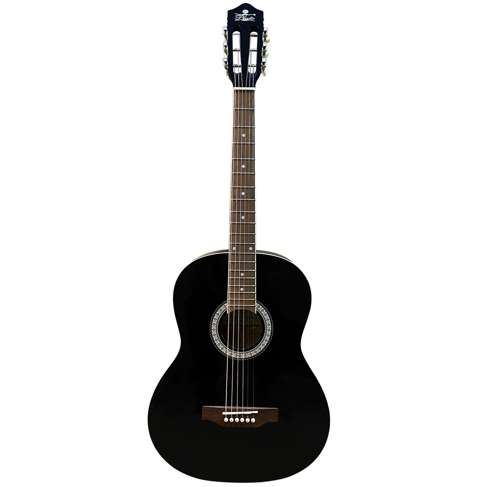 Pluto Acoustic Guitar 201 series Medium HW39-201