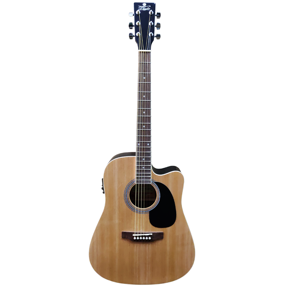 Pluto Semi Acoustic Guitar 101 Series Dreadnought Cutaway W/ Fishman Isys HW41CE-101FSP