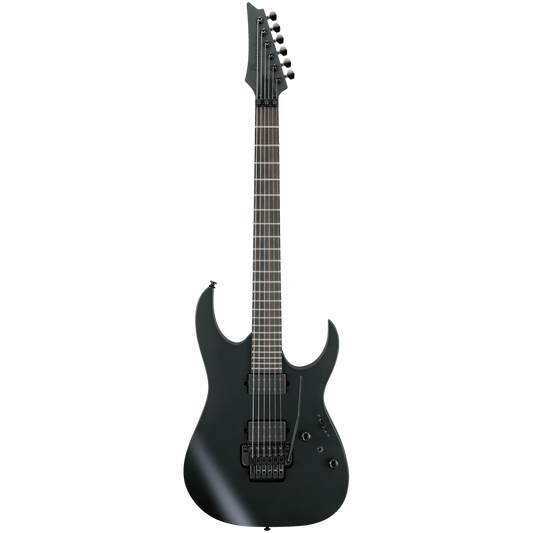 Ibanez RGRB620-BKF Electric Guitar RG Iron Lable