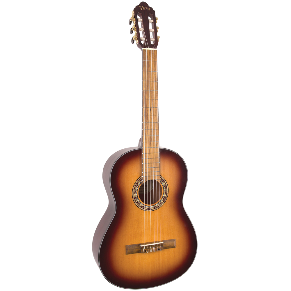 Valencia 300 Series VC314 Classical Guitar 4/4 size with Truss Rod