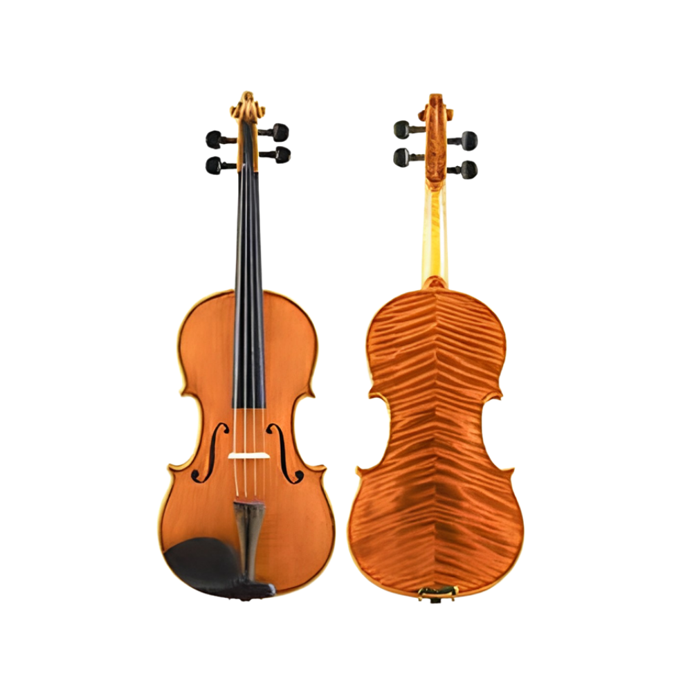 Pluto Viola 4/4 Size Complete ZJ60VN