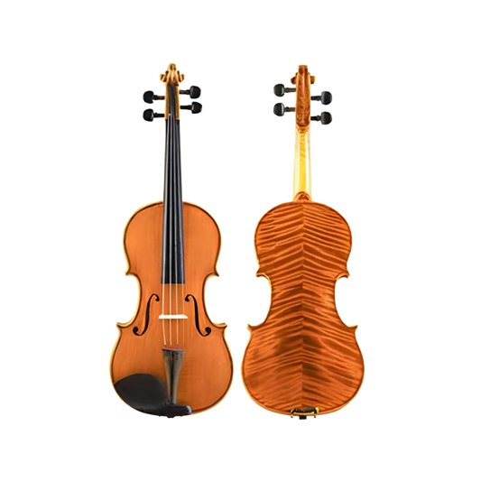 Pluto Viola 4/4 Size Complete ZJ60VN