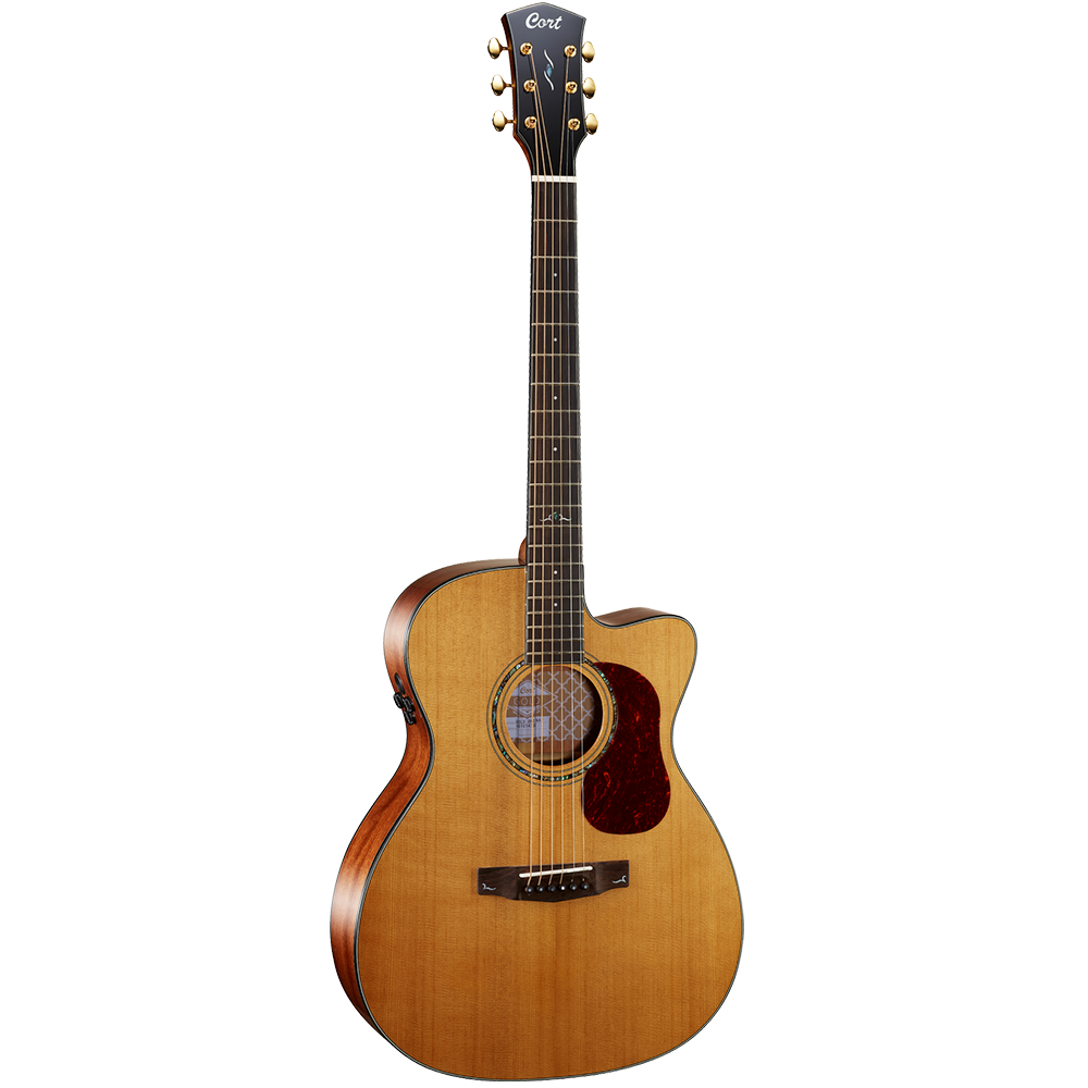 Cort GOLD OC6 Semi Acoustic Guitar
